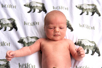 Weston | Newborn